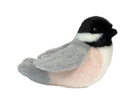 Chipper Chickadee