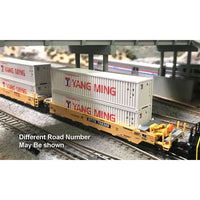 Gunderson Maxi-I 5-Unit Container Well Car with 40' Containers TTX #759364 (yellow, red logo) & Yang Ming Containers (gray)