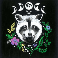 CreArt Pixie Cold Raccoon Paint by Number