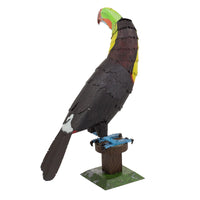 Keel-Billed Toucan Metal Earth Model Kit