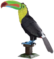 Keel-Billed Toucan Metal Earth Model Kit