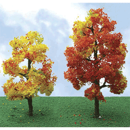 Sycamore Autumn Trees - Pro Elite -- 2-1/4 - 2-1/2" 5.7- - 6.3cm pkg(4)