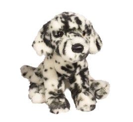 Mackay Dalmatian