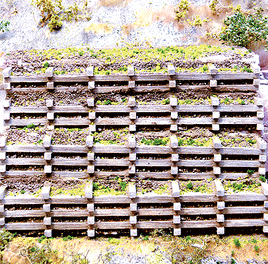 Stepped Timber Retaining Wall